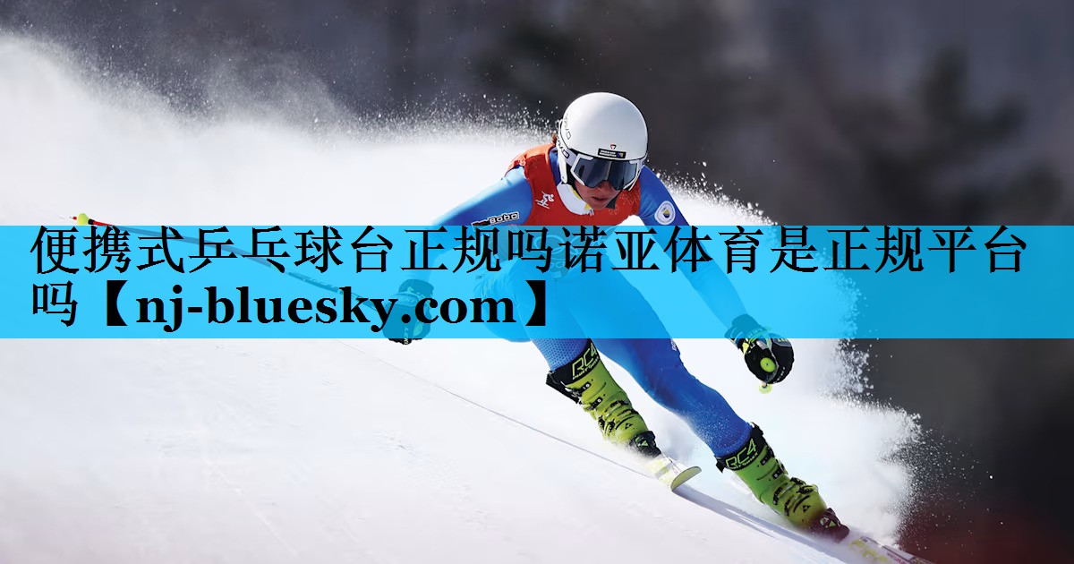 便携式乒乓球台正规吗诺亚体育是正规平台吗