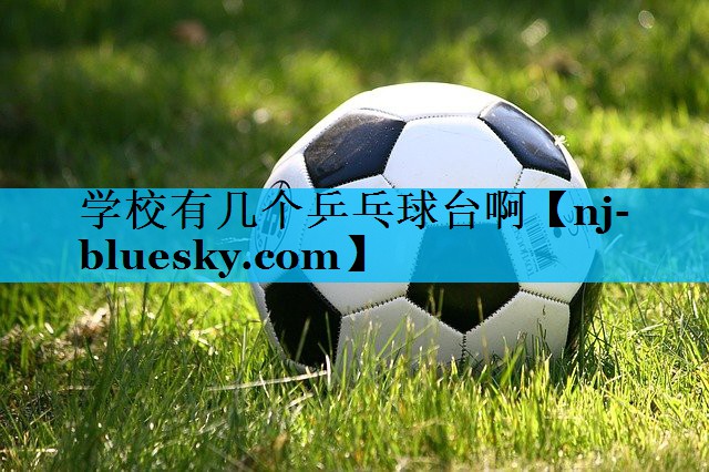 学校有几个乒乓球台啊