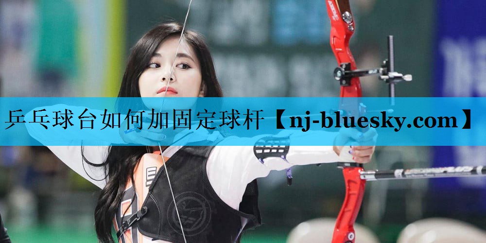 乒乓球台如何加固定球杆 乒乓球台如何加固定球杆