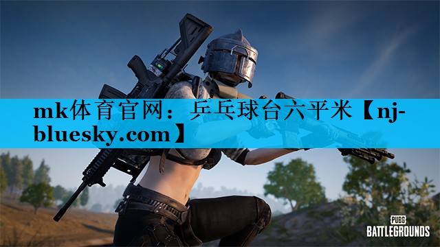 乒乓球台六平米 乒乓球台六平米
