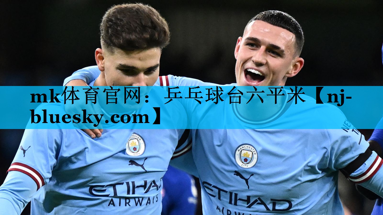 乒乓球台六平米 乒乓球台六平米