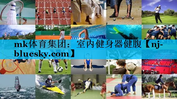 室内健身器健腹 室内健身器健腹