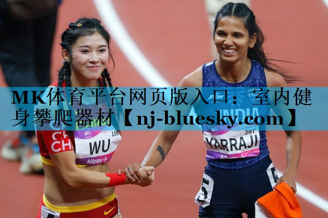 室内健身攀爬器材 室内健身攀爬器材